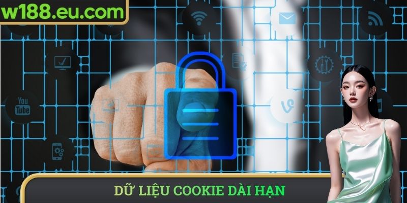 Dữ liệu cookie dài hạn