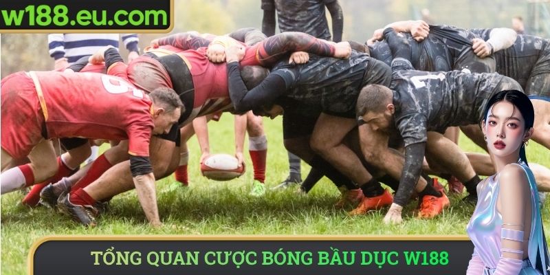Tổng quan cược bóng bầu dục W188